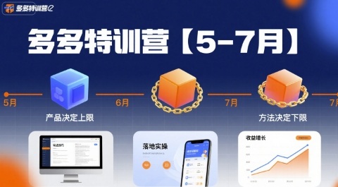 多多特训营,产品决定上限,方法决定下限,各种玩法技巧落地实操(更新)-智通
