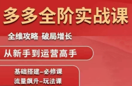 大炮·拼多多全阶实战课程(更新10月)-智通网创